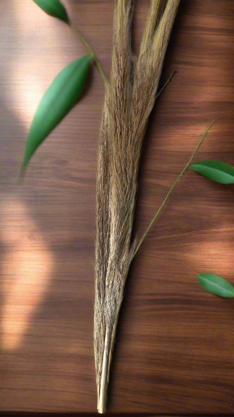 Dry Pampas Grass