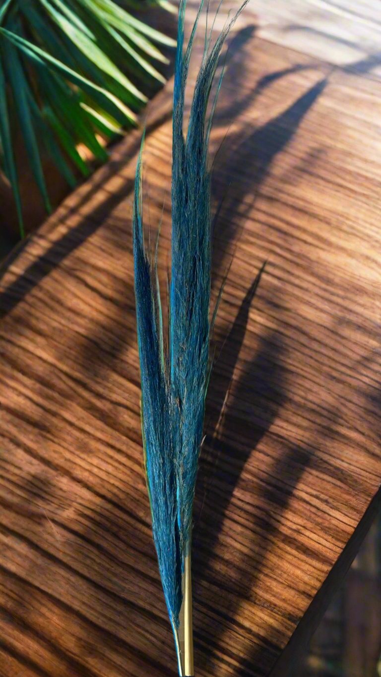 Dry Pampas Grass