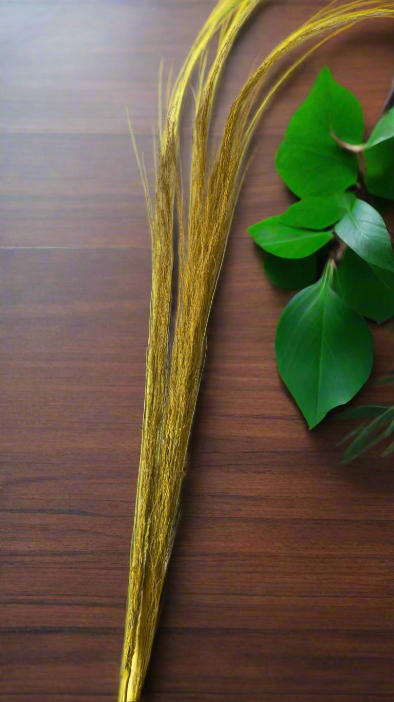 Dry Pampas Grass