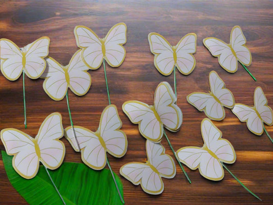 STOCK  CARD BUTTERFIES
